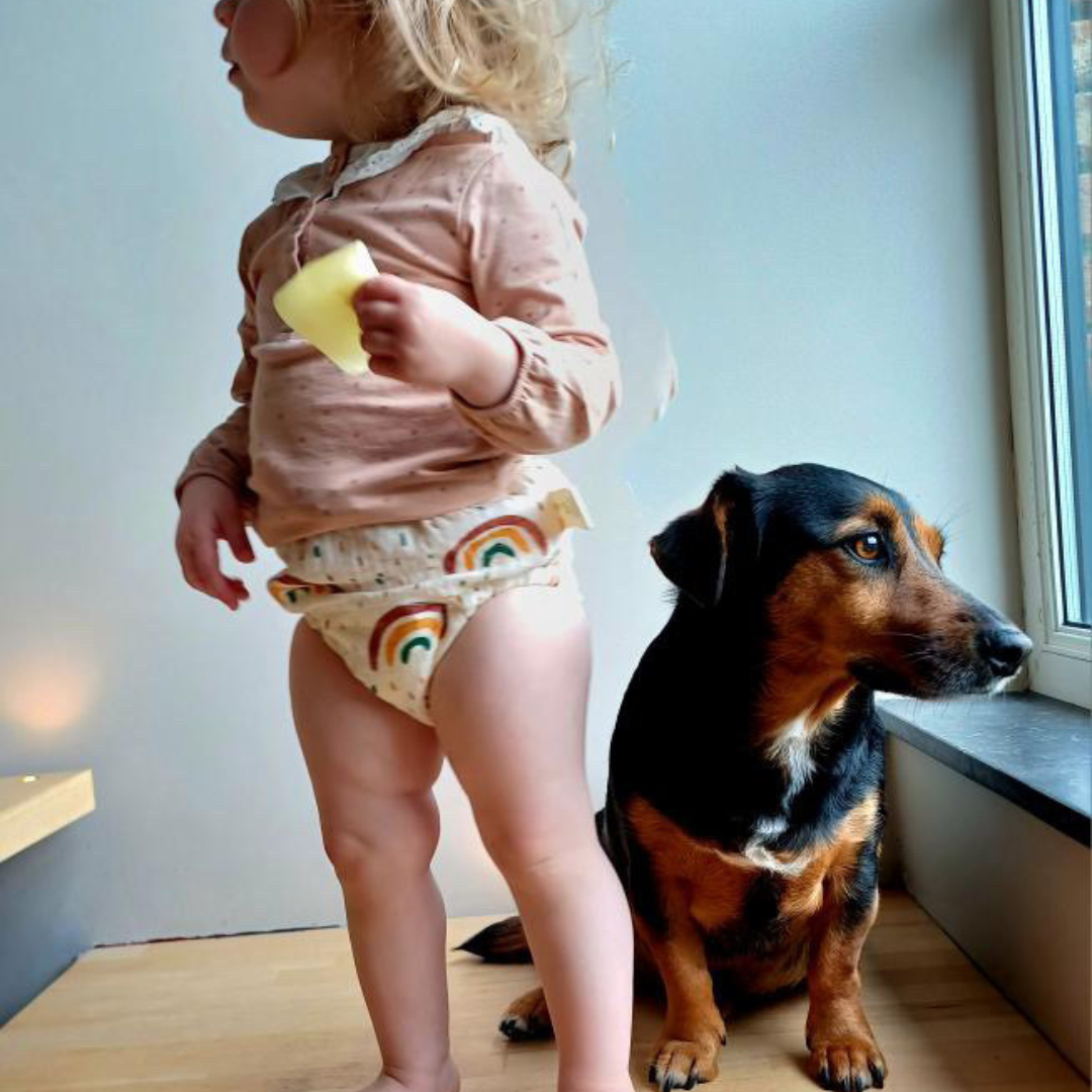 Les Culottes d'apprentissage 🌼