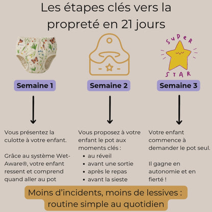 Les Culottes d'apprentissage 🌼